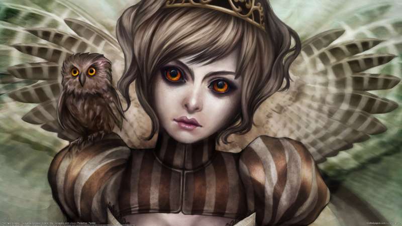 The Owl Princess wallpaper or background