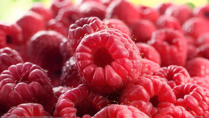 Raspberry Day wallpaper or background